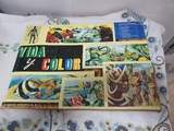 VIDA Y COLOR
