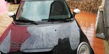 MINI - COOPER S