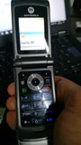 MOTOROLA W377 LIBRE