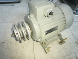 2 MOTORES SIEMENS