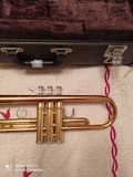 TROMPETA 4335G