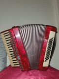 ACORDEON PARROT