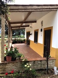 SE VENDE FINCA RÚSTICA EN FUENTEOBEJUNA