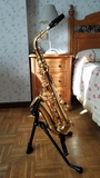SAXOFóN ALTO TAS-350