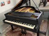 PIANO DE COLA GEORGE STECK & CO