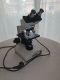 MICROSCOPIO OLYMPUS CHA