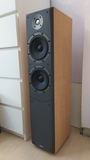 BOWERS&WILKINS DM-309 IMPECABLES