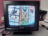 MINITV 12/220 V. 10
