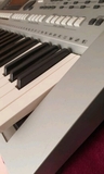 YAMAHA PSR S900