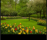 JARDINERíA INTEGRAL