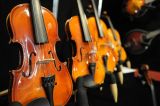 VIOLIN STANDARD 1/8